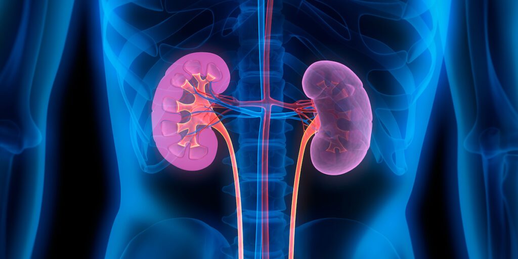 Strategies for Preventing 10 Dangerous Kidney Diseases