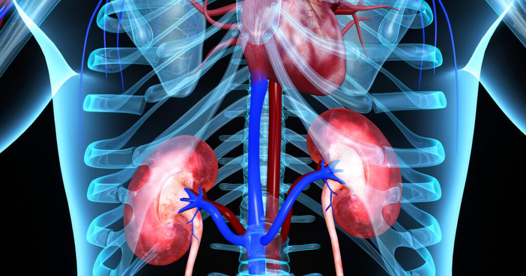 10 most dangerous diseases that can affect your kidneys