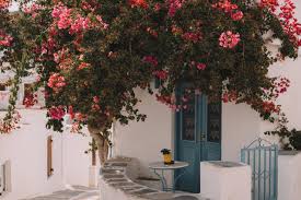 Paros: A Serene Escape with Traditional Charm